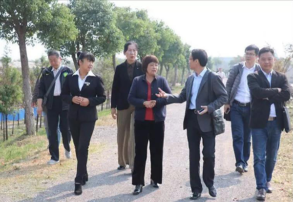 20181229110617_55216