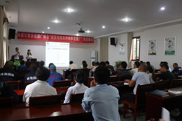 20181229152747_50448