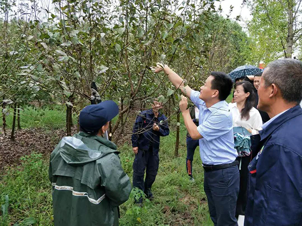 20181229152909_86549