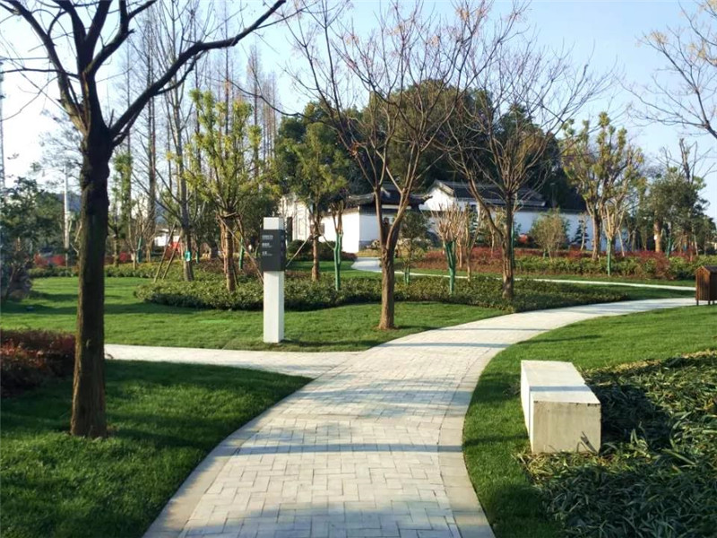 20190102104044_21115