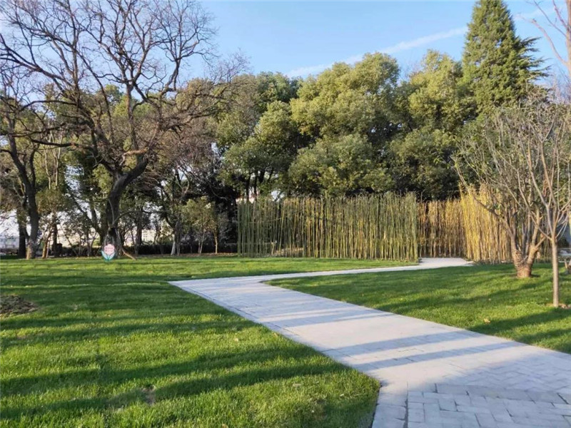 20190102104141_40602