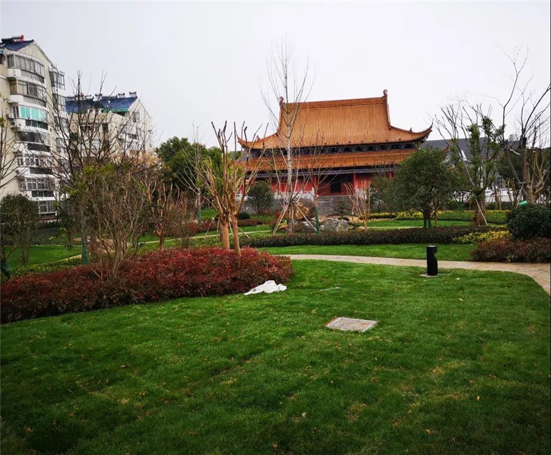 20190102104201_32568