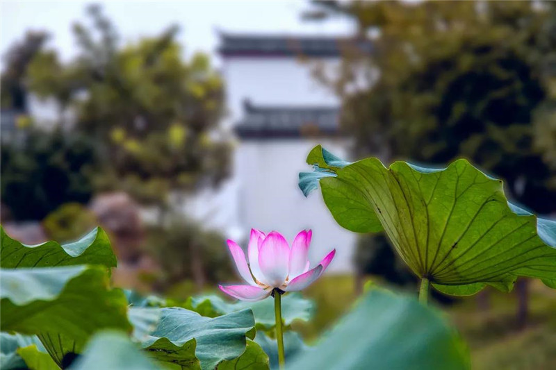 20190102155306_78645