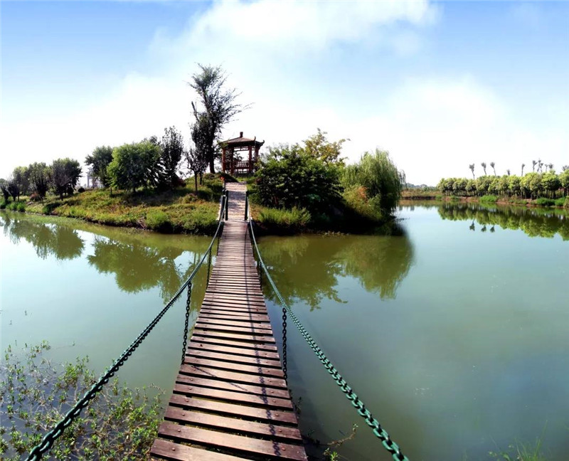 20190102155310_99283