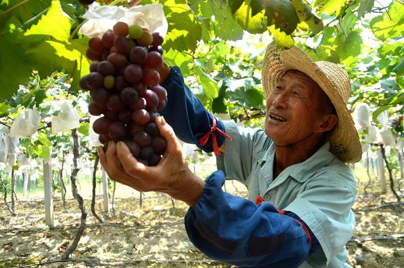 20190102155435_59479