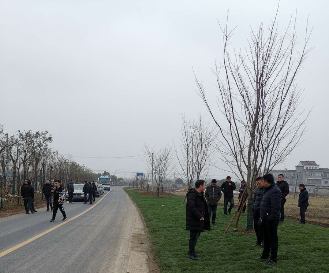 20190113145531_86519