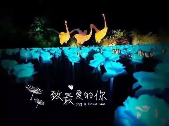 20190129161002_66986