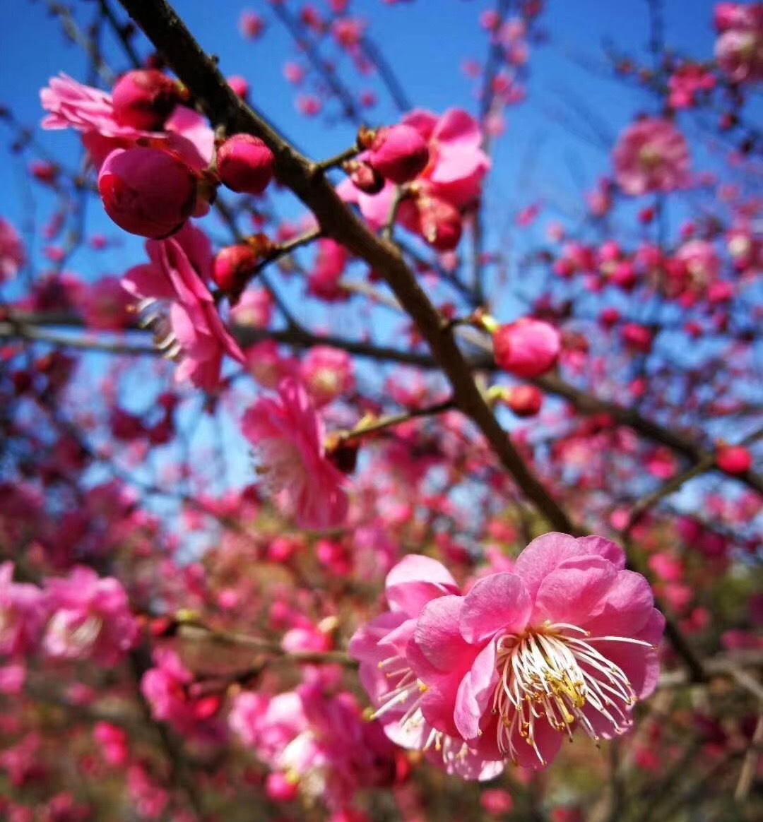 20190311112447_26298