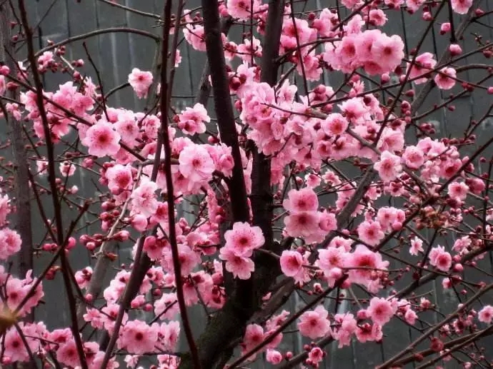 20190311112505_91504