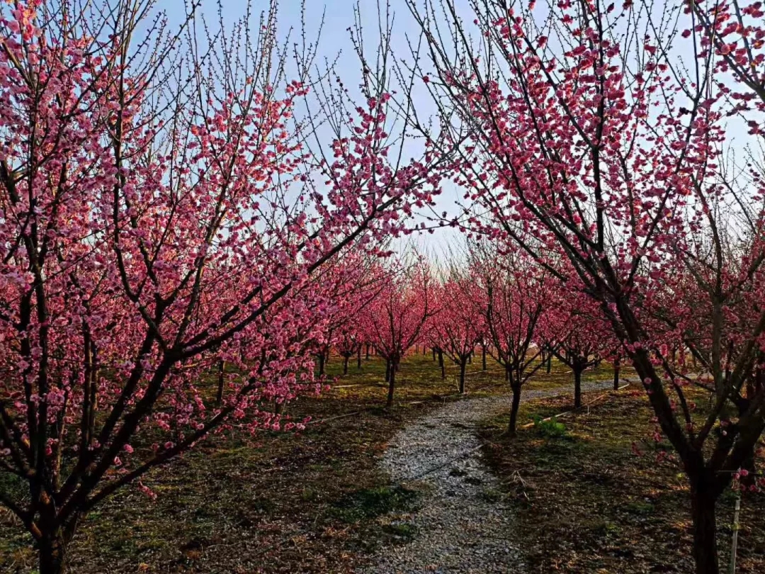 20190311112614_64890