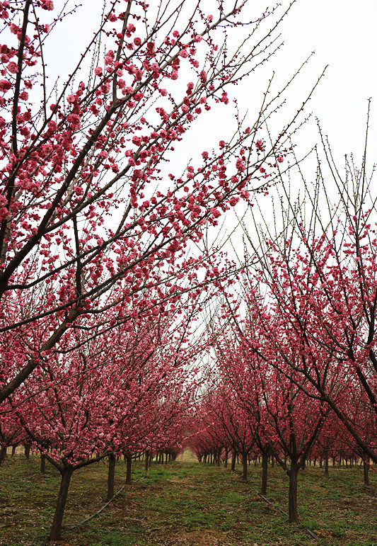 20190311112631_54832