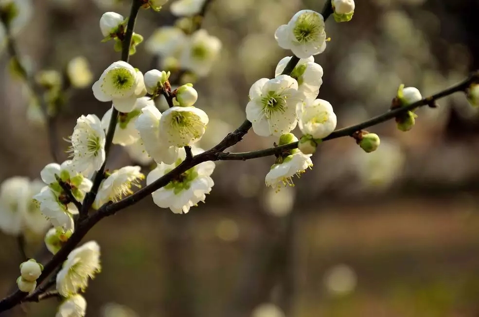 20190311112715_76198