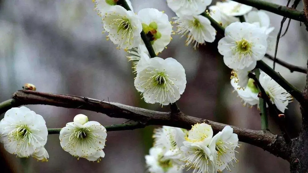 20190311112731_74160