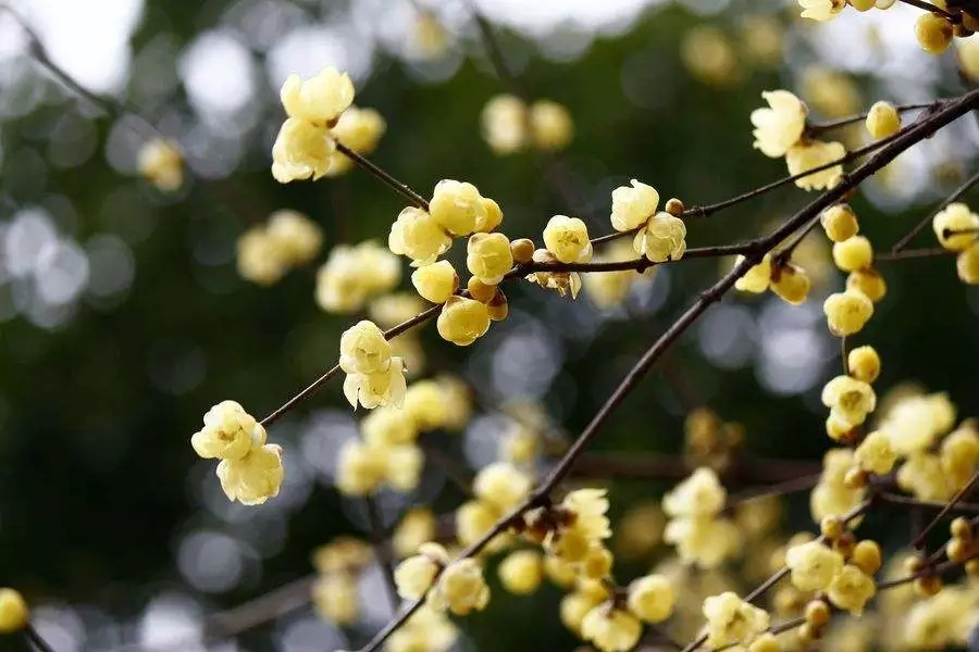 20190311112908_14367