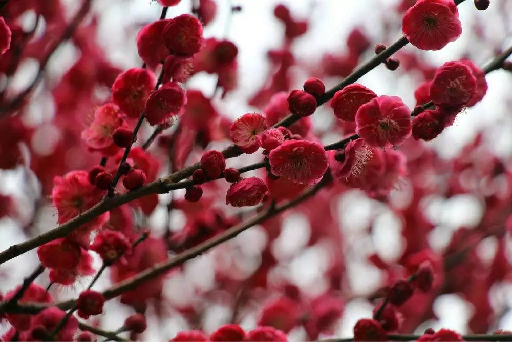 20190311113003_89409