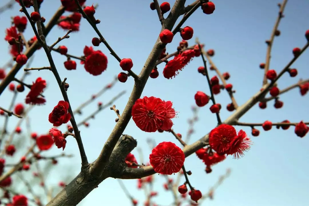 20190311113033_43321