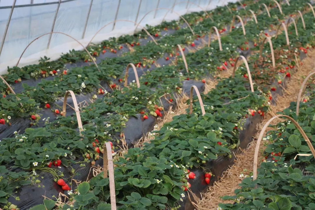 20190311113152_26007