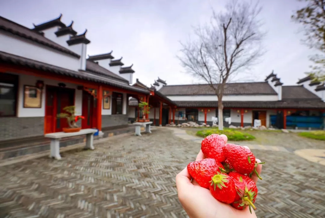 20190311113210_63681