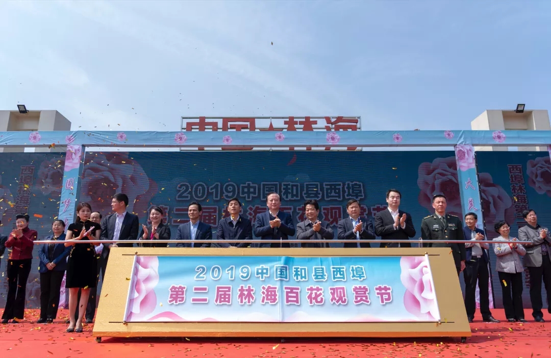 20190417080919_84649