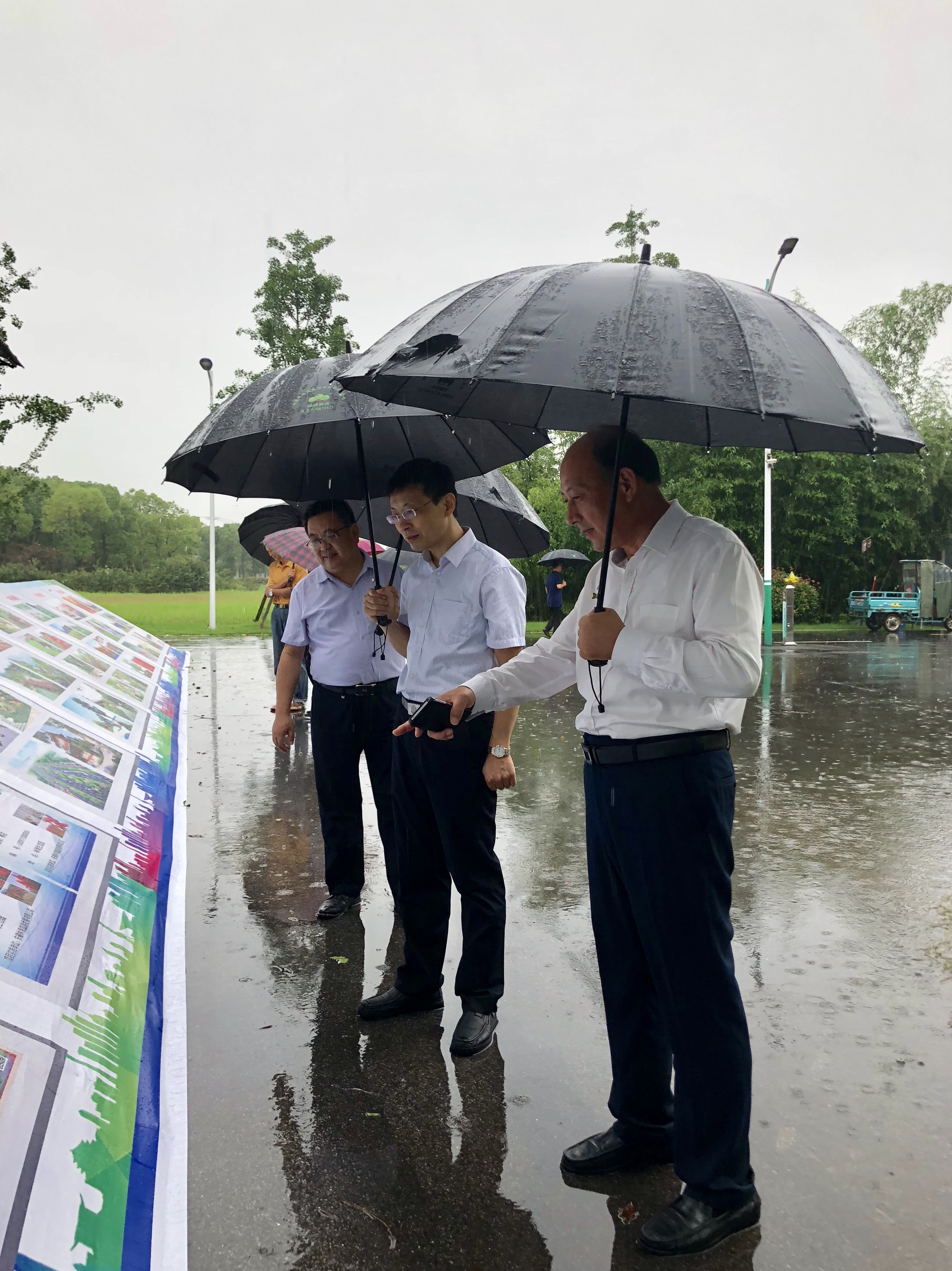 20200717091902_33447